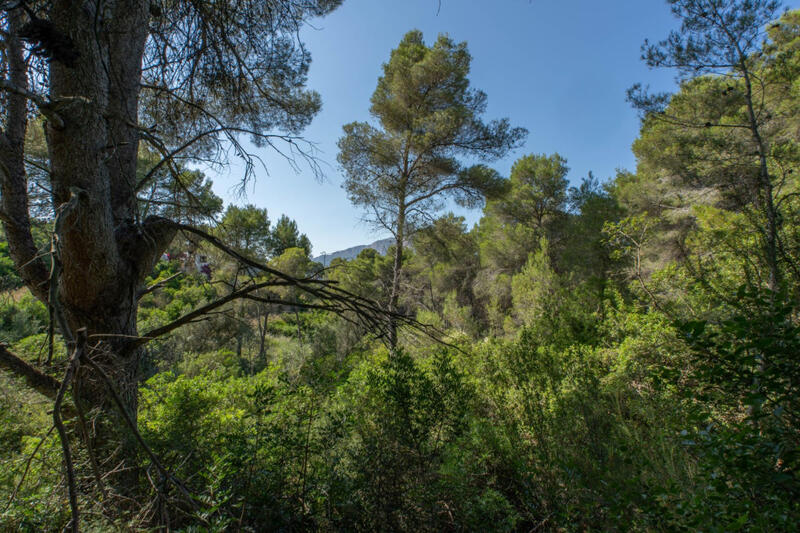 Terrain à vendre dans Javea, Alicante