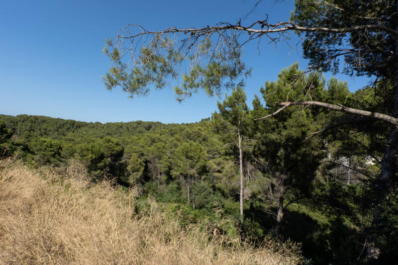 Terrain à vendre