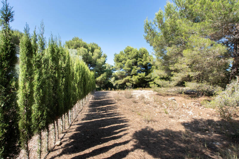 Land Te koop in Javea, Alicante