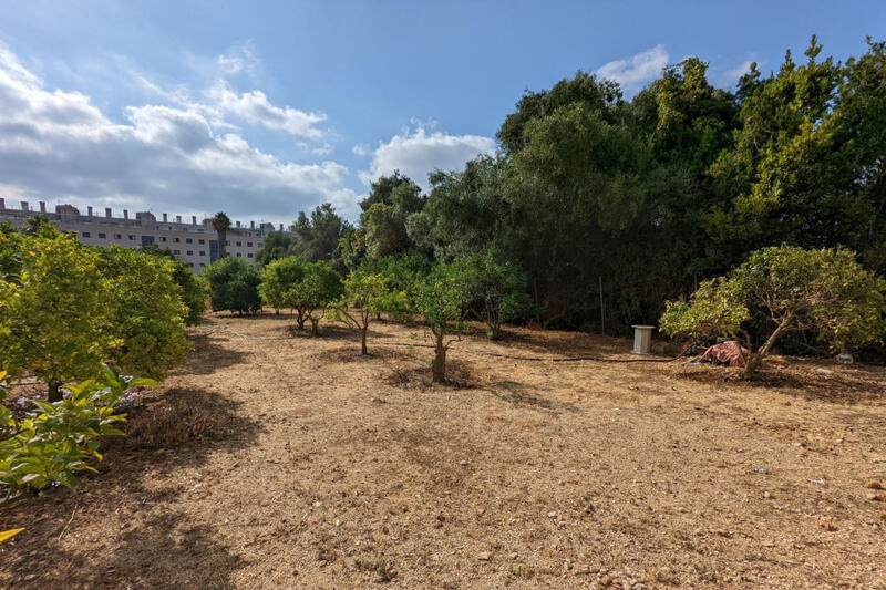 Auberge à vendre dans Denia, Alicante