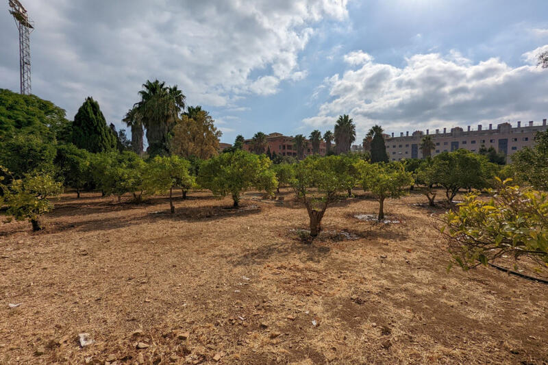 Casa de Campo en venta