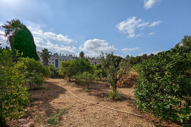 Casa de Campo en venta