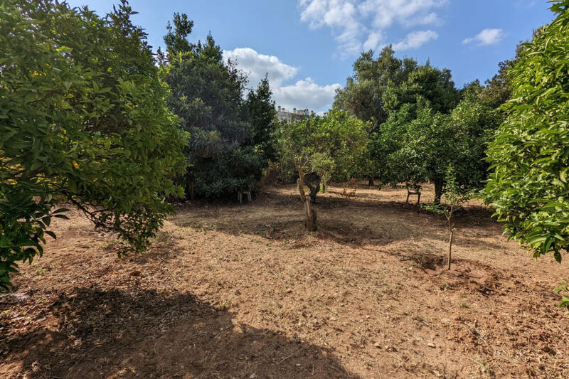 Auberge à vendre