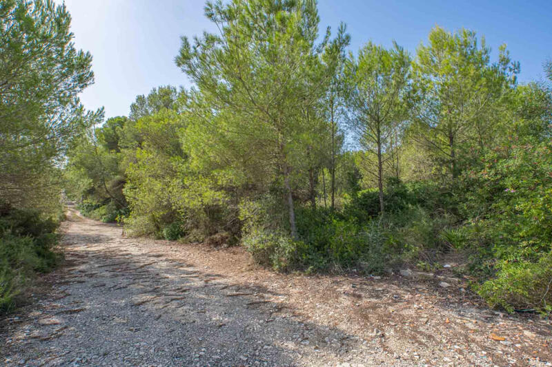 Terrain à vendre dans Javea, Alicante