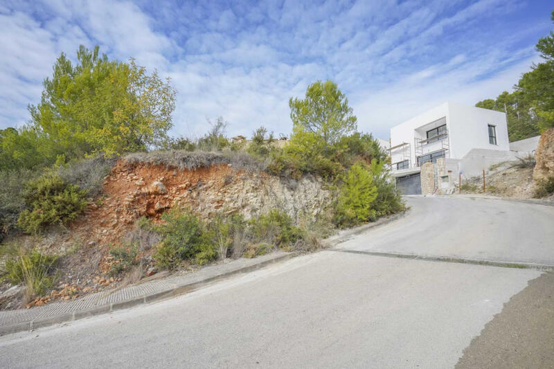 Terrain à vendre dans Alcalali, Alicante