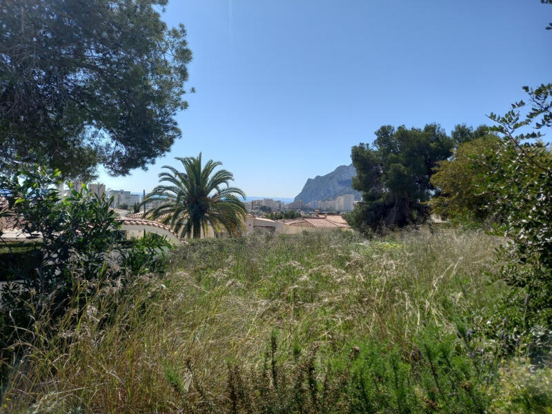 Land for sale in Calpe, Alicante