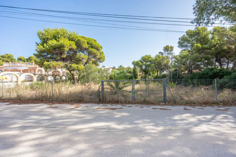 Terrain à vendre dans Javea, Alicante