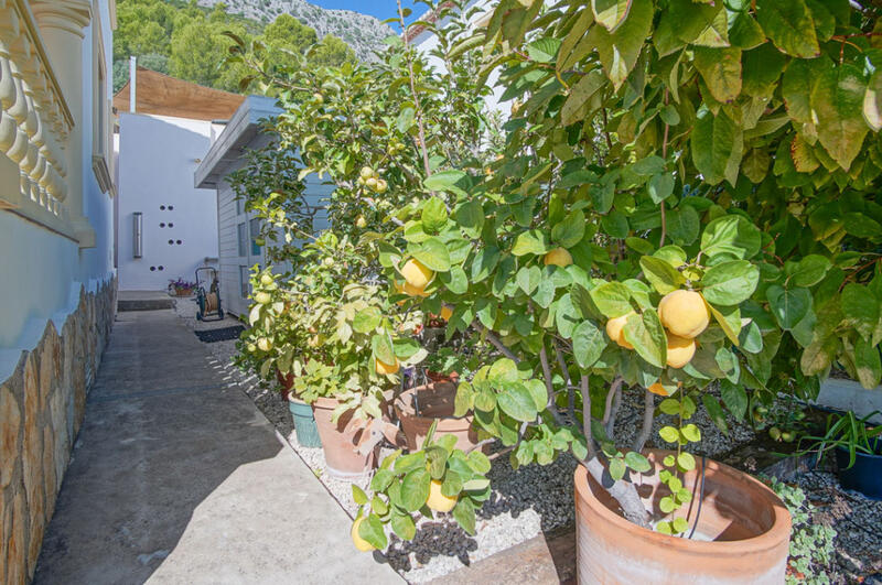 3 Schlafzimmer Villa zu verkaufen