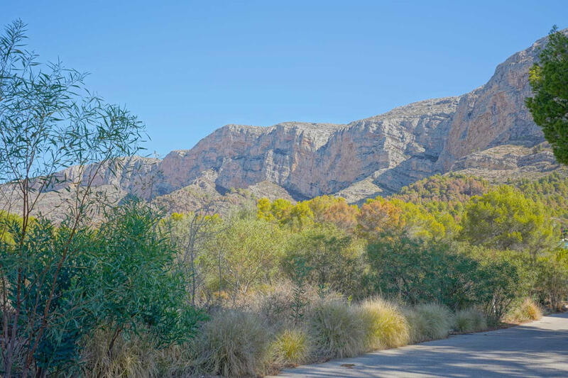 Terrenos en venta