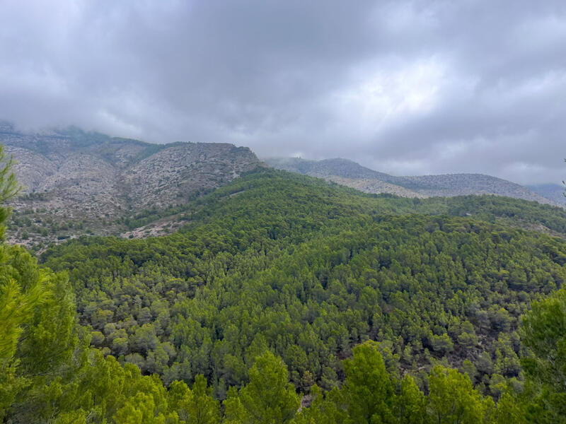 Terrain à vendre