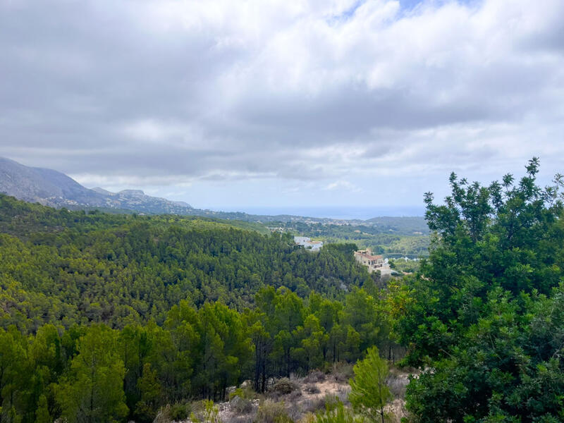 Terrain à vendre