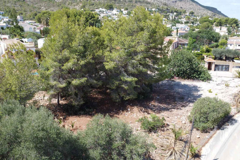 Land for sale in Denia, Alicante