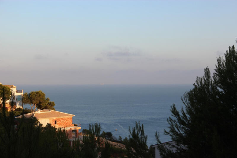 Terrain à vendre dans Javea, Alicante