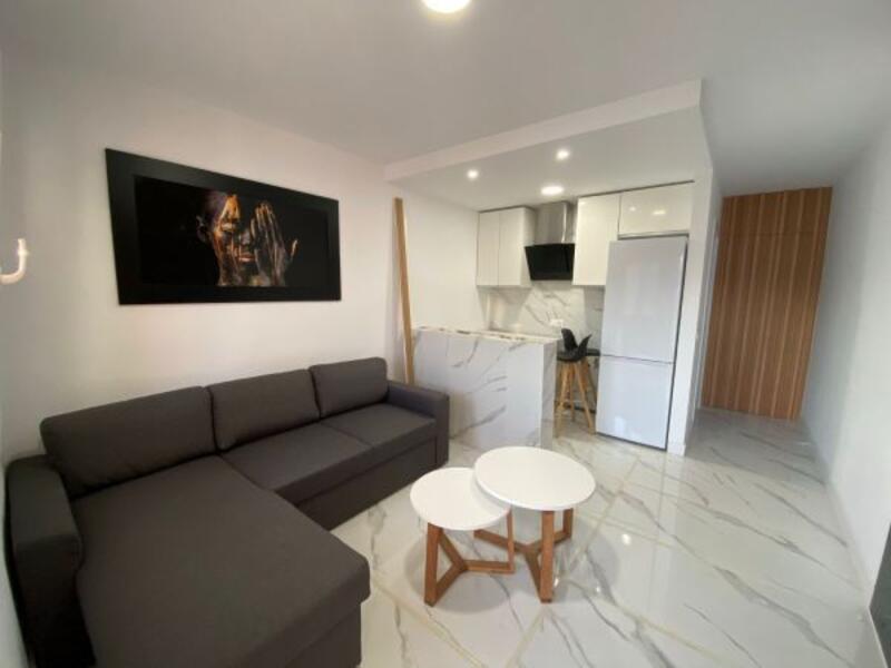 1 chambre Appartement à vendre