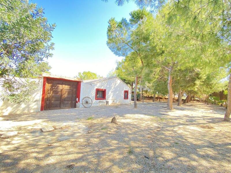 4 Cuarto Casa de Campo en venta