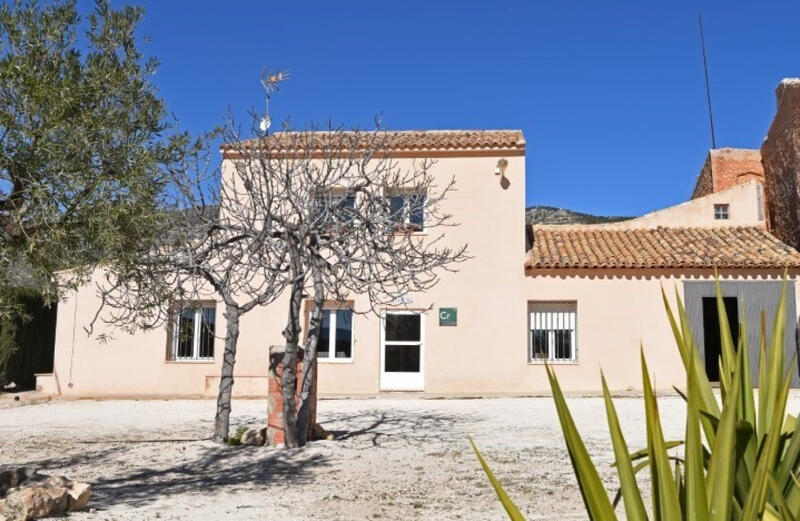 Villa à vendre dans Pinoso, Alicante