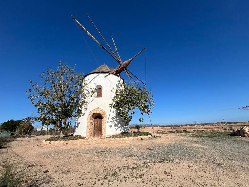 6 chambre Villa à vendre