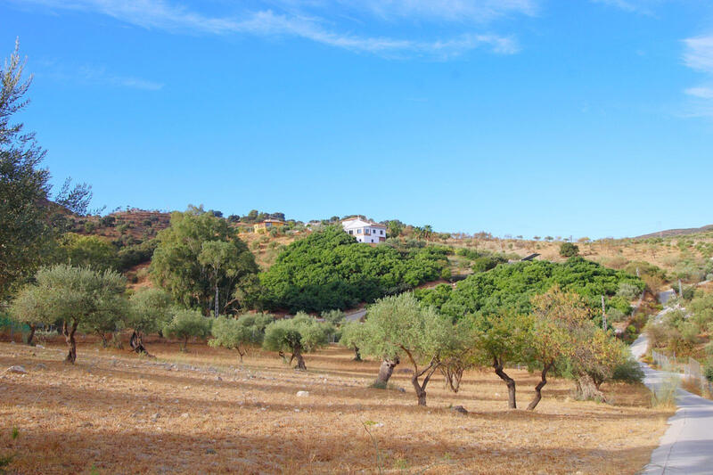 5 chambre Villa à vendre