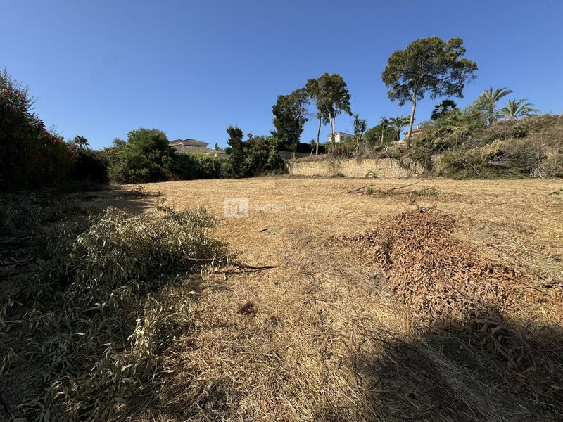 Terrain à vendre