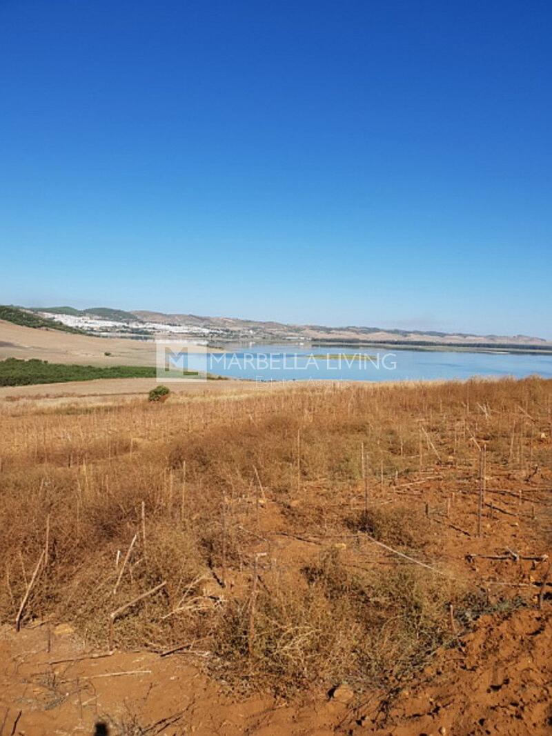 Land for sale in Arcos de la Frontera, Cádiz