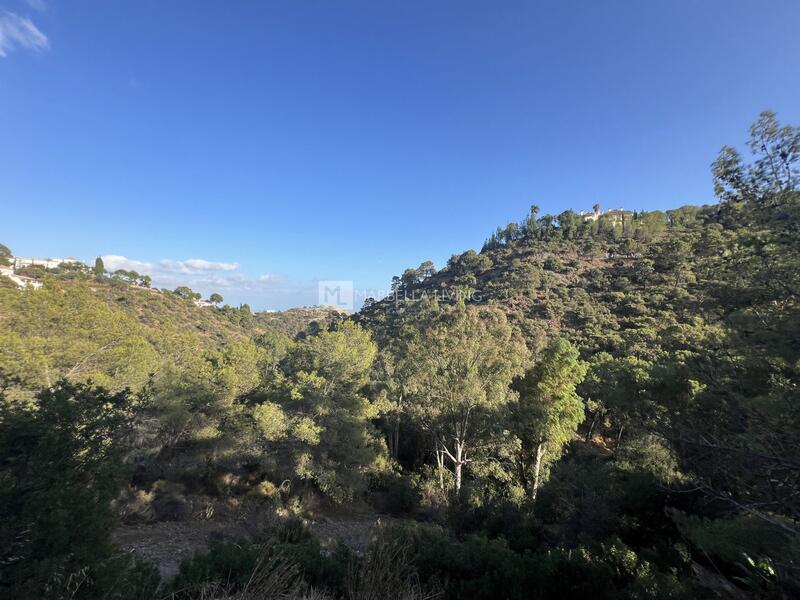 Grundstück zu verkaufen in Benahavis, Málaga