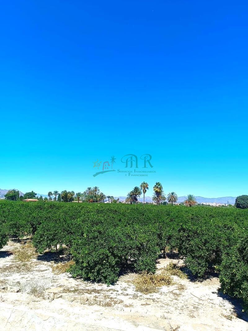 Land for sale in Almoradí, Alicante