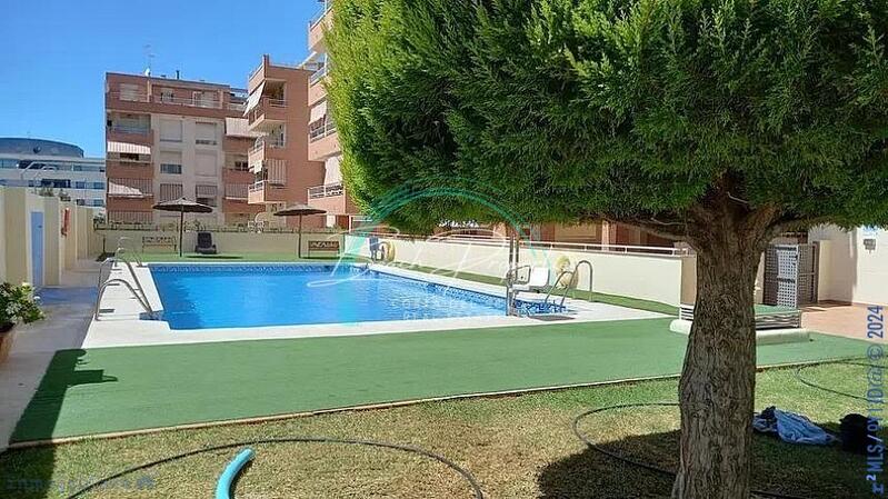 3 Cuarto Apartamento en venta