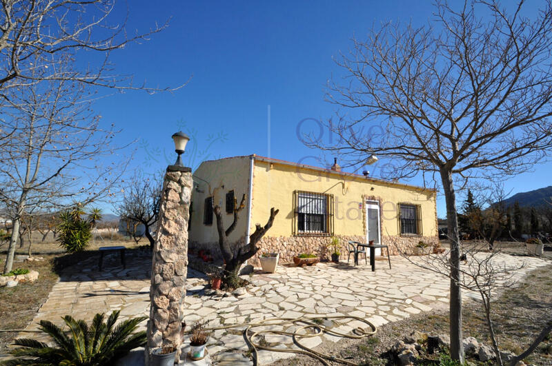 Villa til salg i Salinas, Alicante