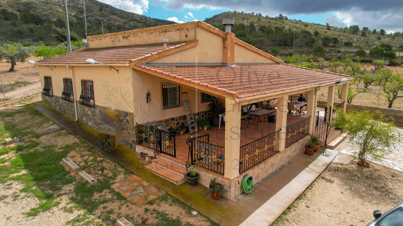 Villa à vendre dans Sax, Alicante