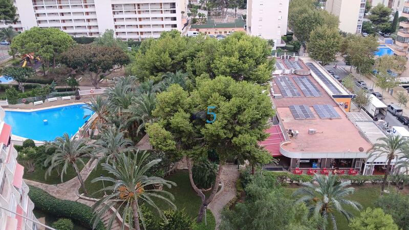 Apartamento en venta