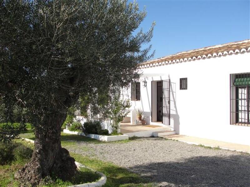 Country House for Long Term Rent in Alhaurin el Grande, Málaga