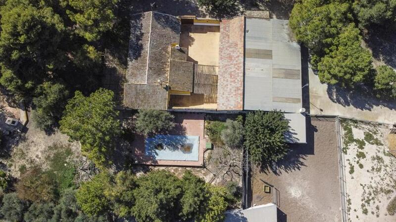 4 Cuarto Casa de Campo en venta