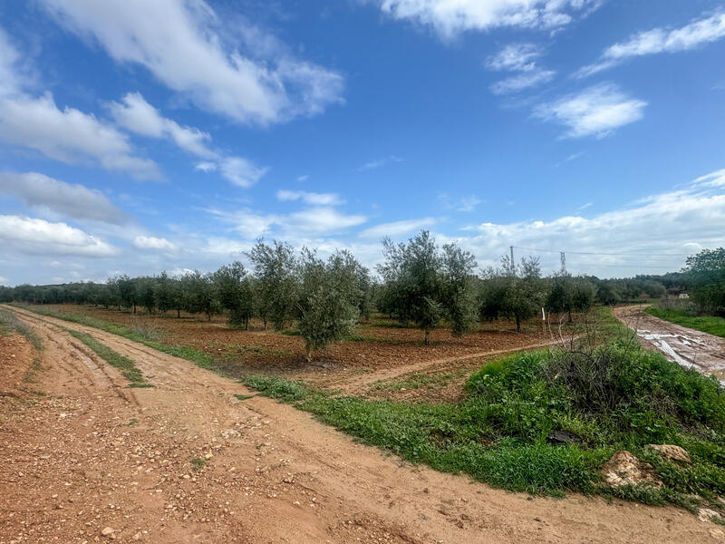 Grundstück zu verkaufen in Mollina, Málaga