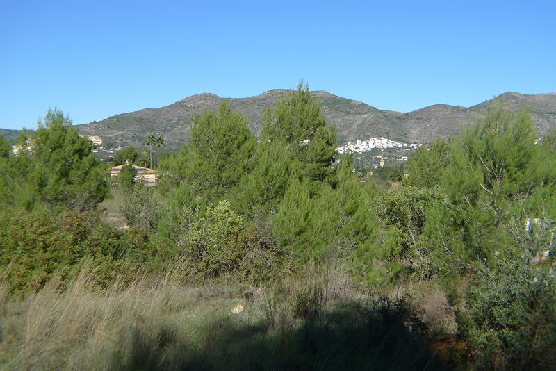 Jord til salg i Jalón, Alicante