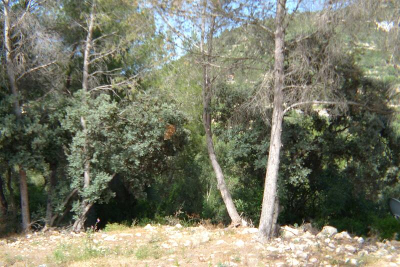 Terrenos en venta en Alcalali, Alicante