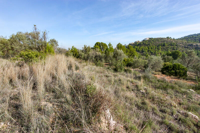 земля продается в Orba, Alicante