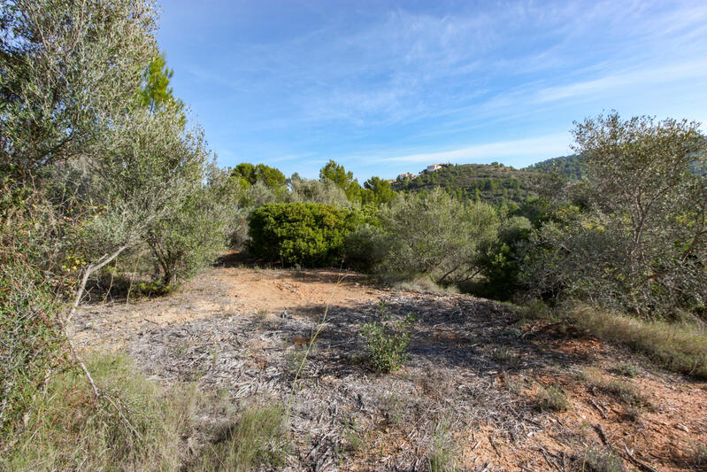 Terrain à vendre