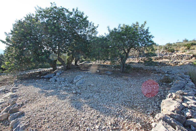 Jord til salg i Benimeli, Alicante