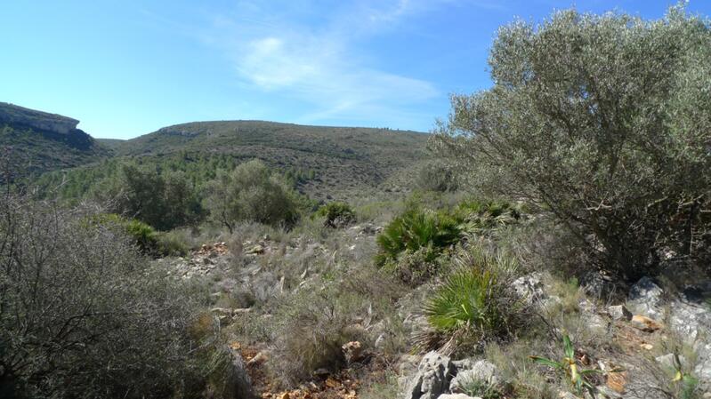 Landa till salu i Benigembla, Alicante