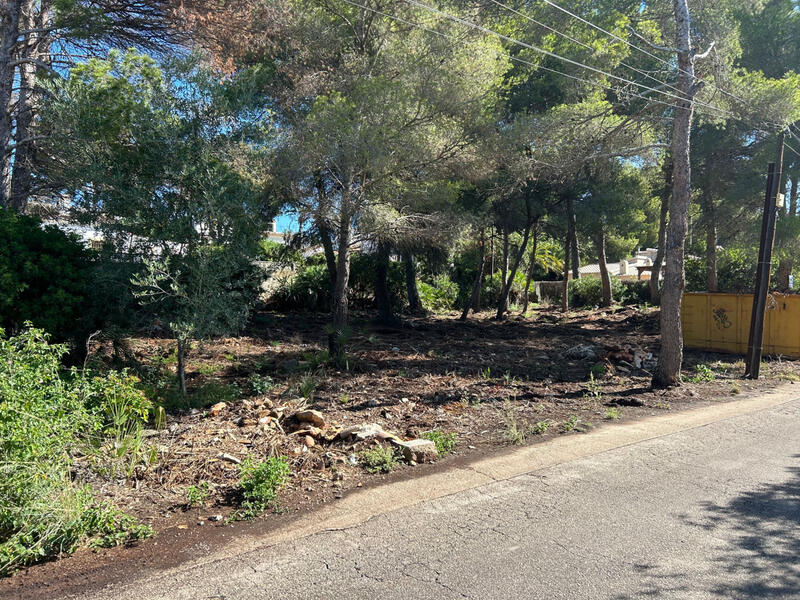 Grundstück zu verkaufen in Javea, Alicante