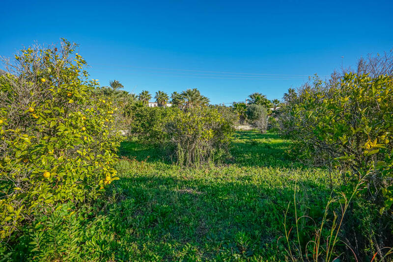 Terrenos en venta