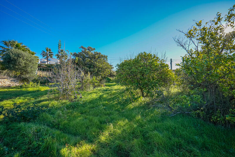 Terrain à vendre