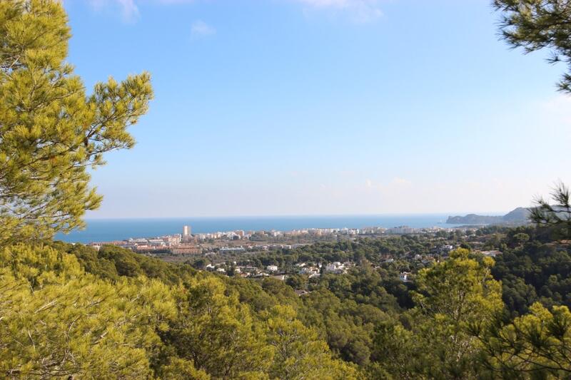 Terrain à vendre dans Javea, Alicante