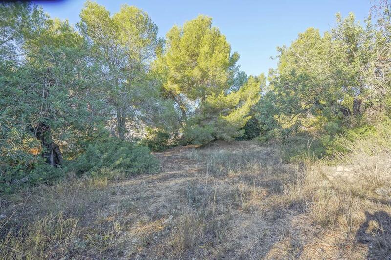 Land for sale