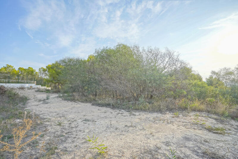 Land for sale