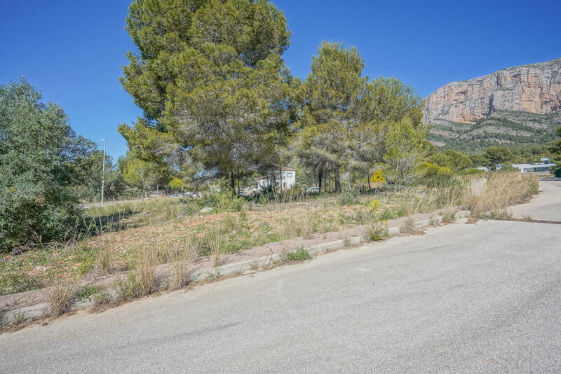 Terrain à vendre dans Javea, Alicante