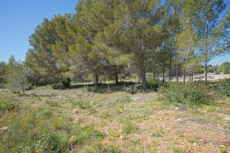 Land for sale