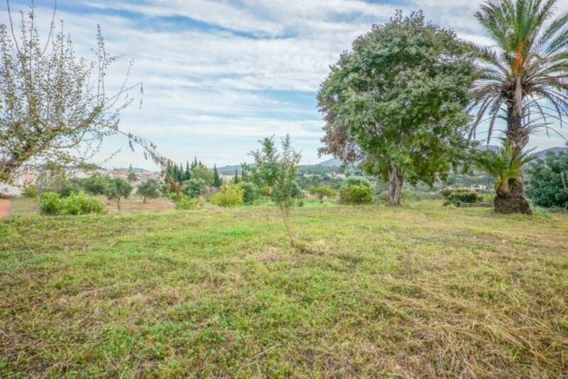 1 bedroom Land for sale