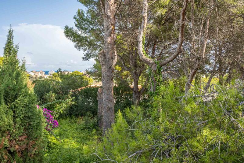 Land for sale in Javea, Alicante