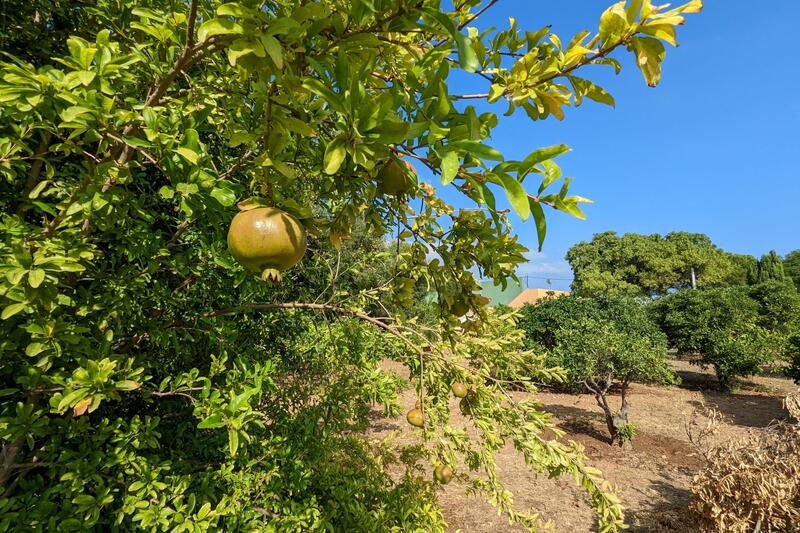 Terrenos en venta